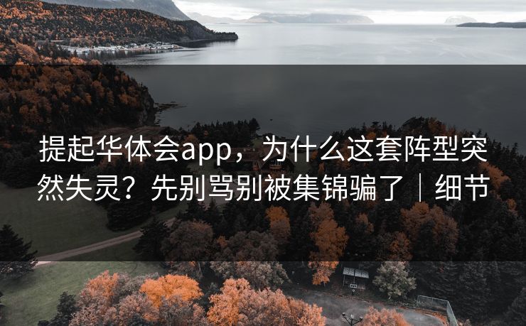 提起华体会app，为什么这套阵型突然失灵？先别骂别被集锦骗了｜细节
