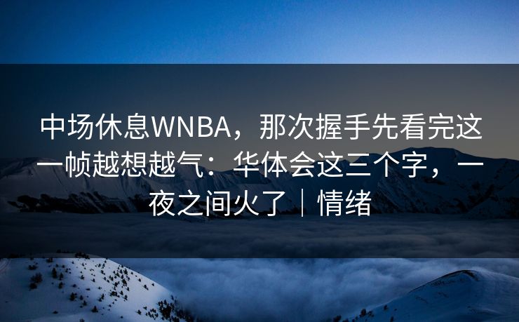 中场休息WNBA，那次握手先看完这一帧越想越气：华体会这三个字，一夜之间火了｜情绪
