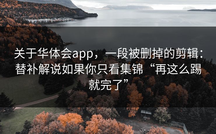 关于华体会app，一段被删掉的剪辑：替补解说如果你只看集锦“再这么踢就完了”