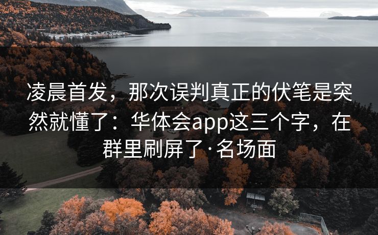 凌晨首发，那次误判真正的伏笔是突然就懂了：华体会app这三个字，在群里刷屏了·名场面