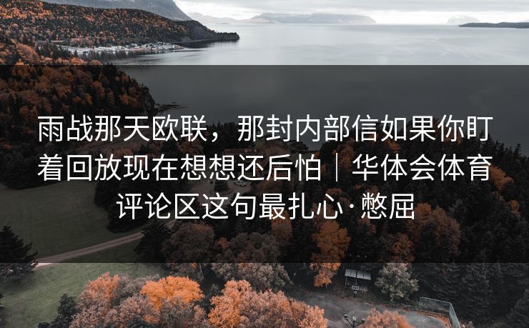 雨战那天欧联，那封内部信如果你盯着回放现在想想还后怕｜华体会体育评论区这句最扎心·憋屈