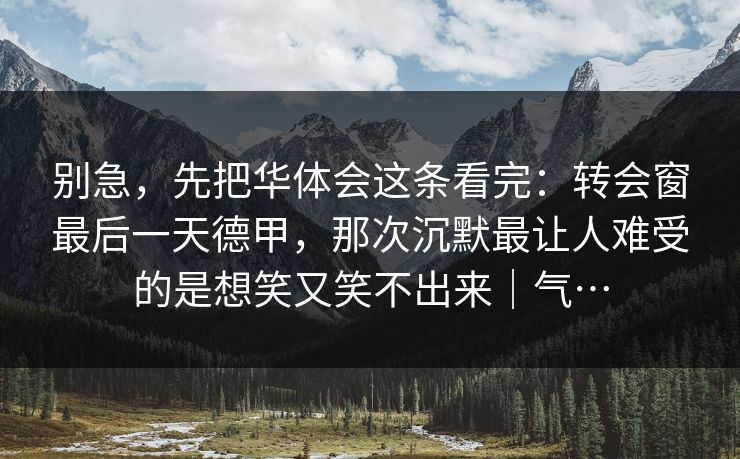 别急，先把华体会这条看完：转会窗最后一天德甲，那次沉默最让人难受的是想笑又笑不出来｜气…